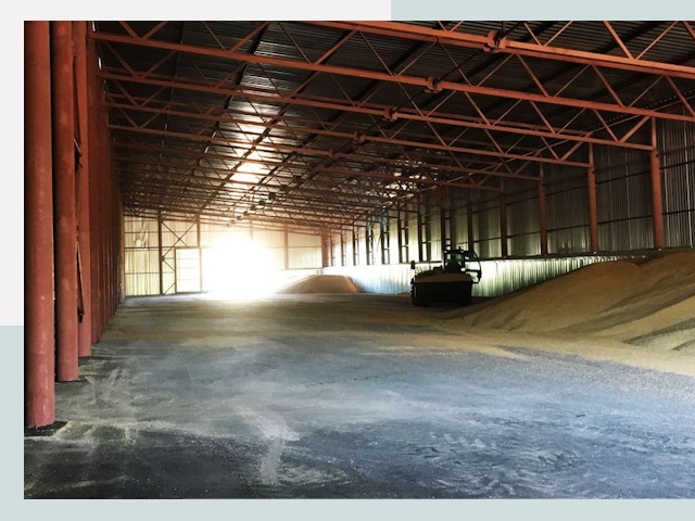 Строительство зернохранилищ в Брянске