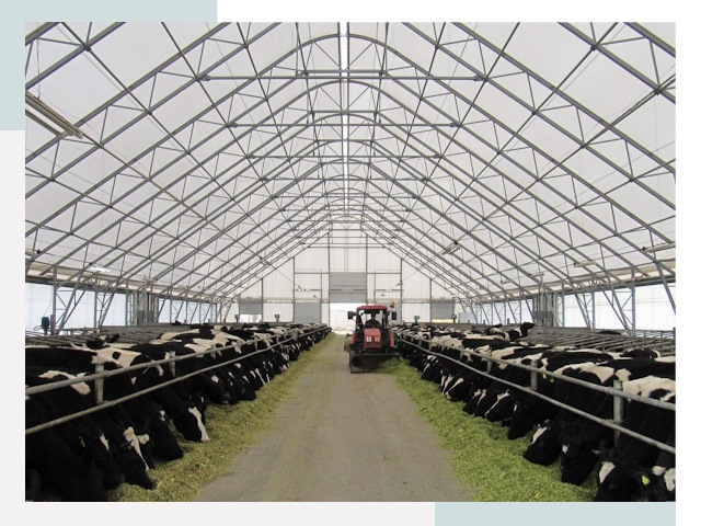 Тентовые коровники в Брянске от 645 руб. - Надежно и доступно