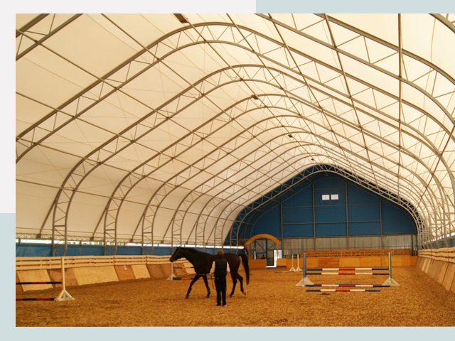 Строительство конных манежей в Брянске